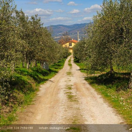 Bioagriturismo Poderaccio インチーザ・イン・ヴァルダルノ エクステリア 写真
