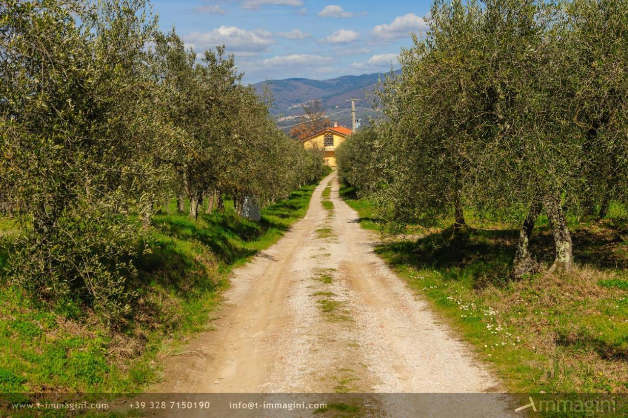 Bioagriturismo Poderaccio インチーザ・イン・ヴァルダルノ エクステリア 写真