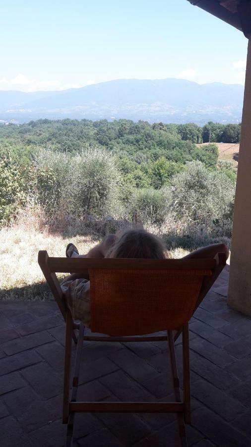 Bioagriturismo Poderaccio インチーザ・イン・ヴァルダルノ エクステリア 写真