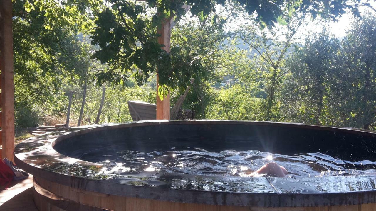 Bioagriturismo Poderaccio インチーザ・イン・ヴァルダルノ エクステリア 写真