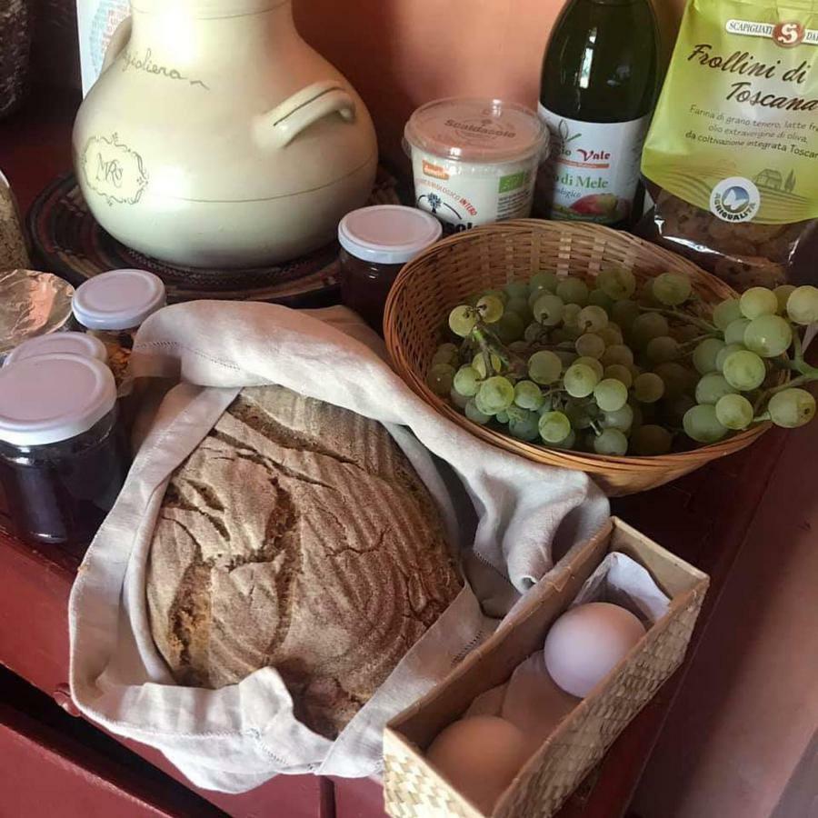 Bioagriturismo Poderaccio インチーザ・イン・ヴァルダルノ エクステリア 写真